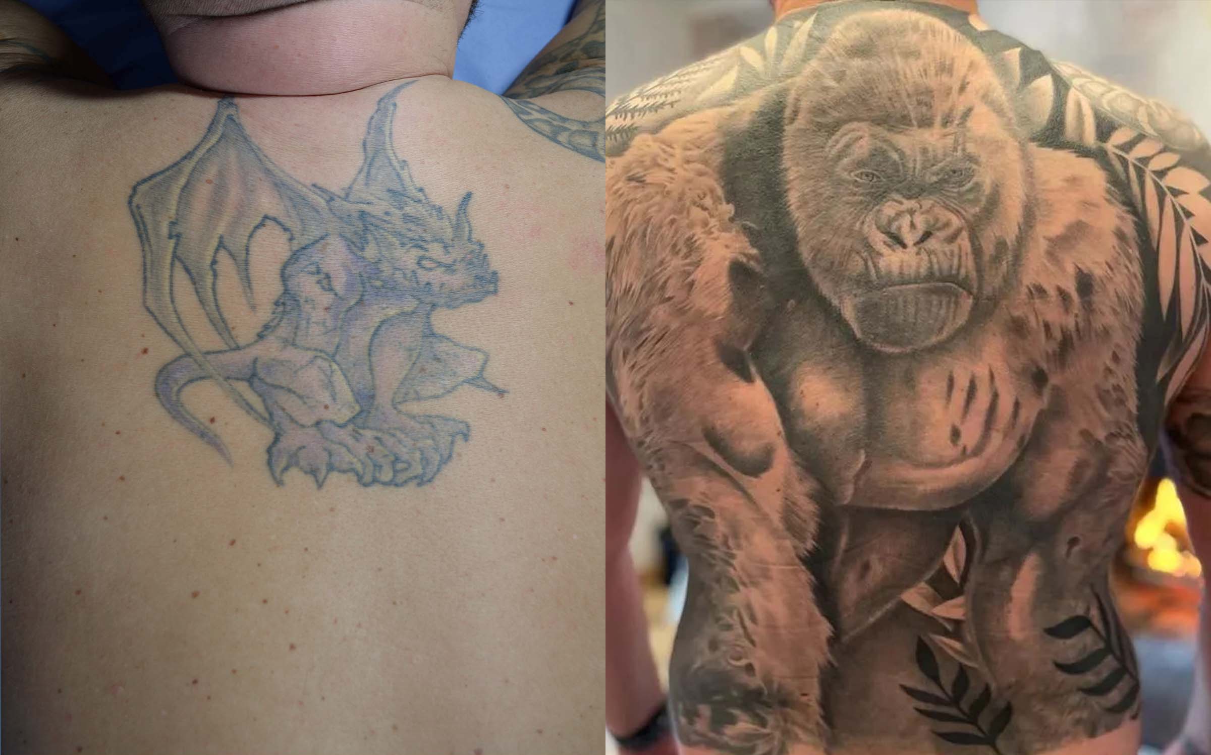 insane coverup